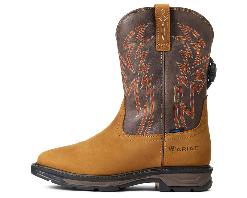 Ariat Boots 10038921 MNS WORKHOG XT BOA H2O AGD BRK